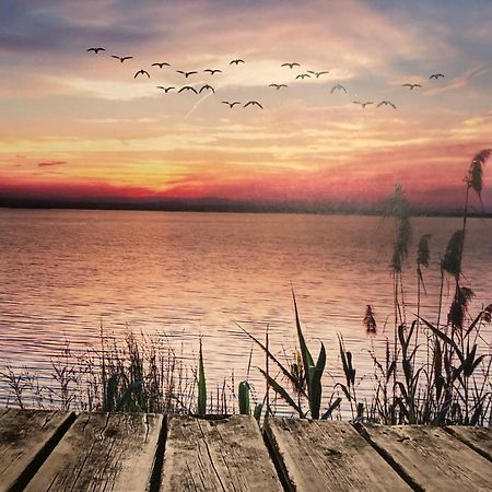 Fewo Erholsame Auszeit Neubrandenburg Exteriör bild