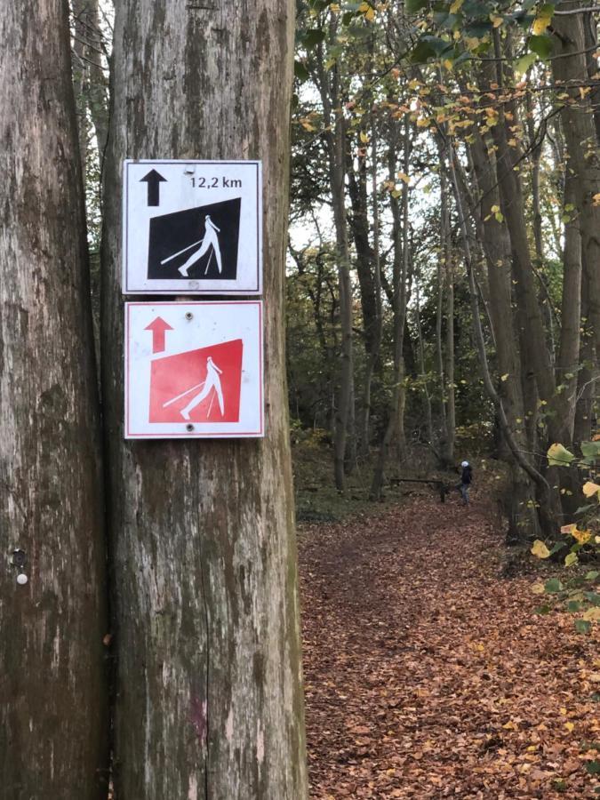 Fewo Erholsame Auszeit Neubrandenburg Exteriör bild